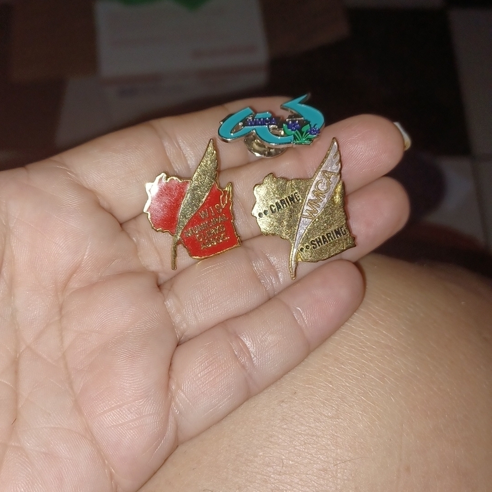 Wisconsin Municipal Clerks Assoc. Lapel Hat Pins (3)